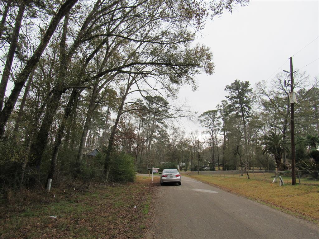 Pinebrook Drive, New Caney, Texas image 3