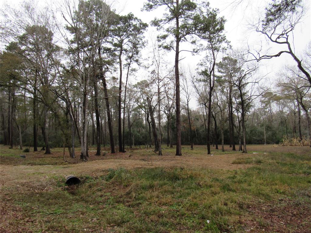 Pinebrook Drive, New Caney, Texas image 7