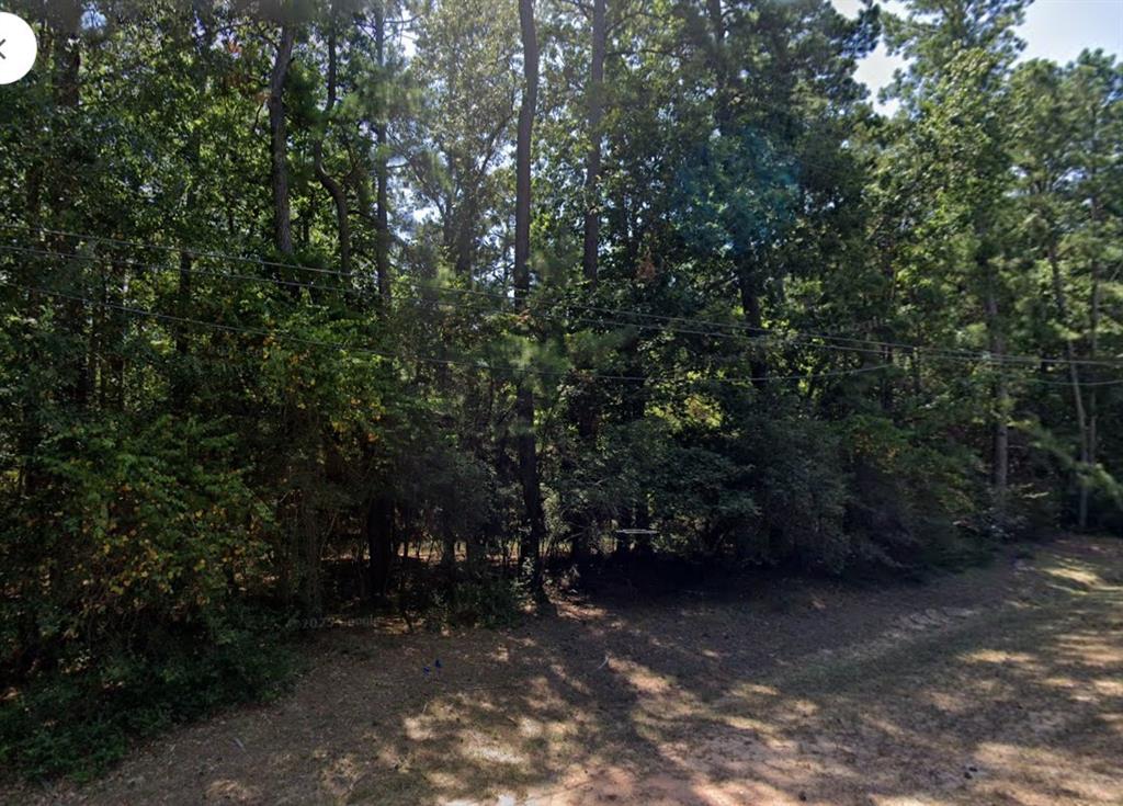 12 Timber Wood Lane, Conroe, Texas image 2