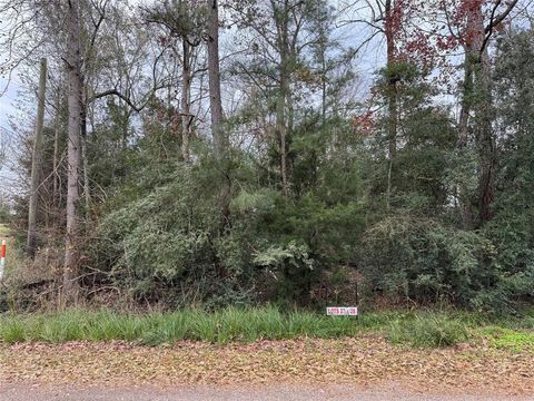 Photo of 27 Dove Island, Livingston, TX 77351 (MLS # 95246490)