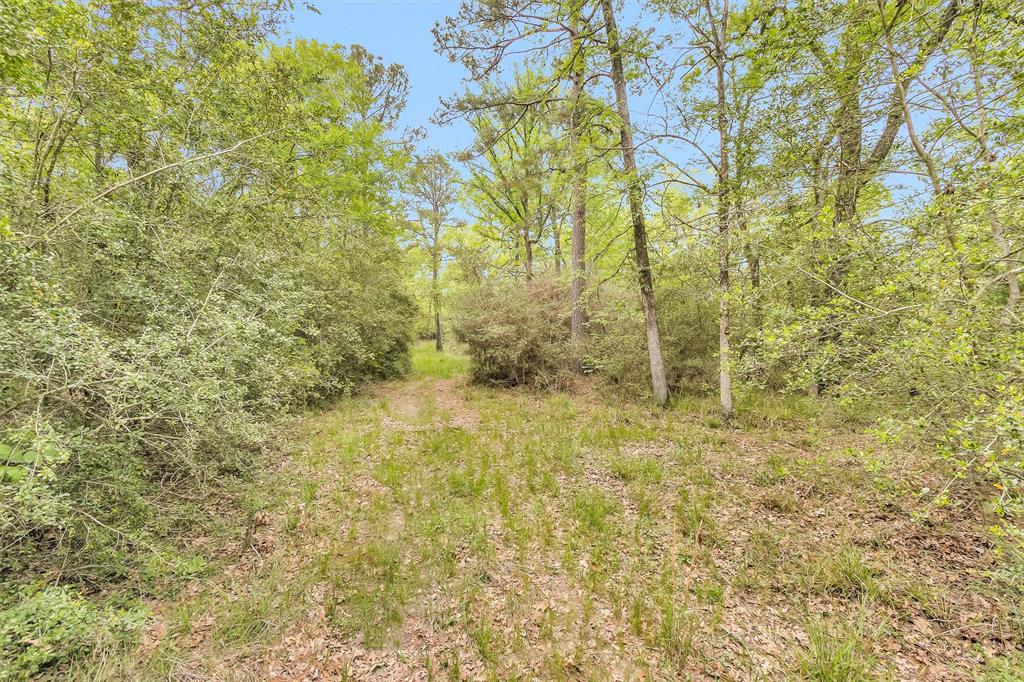 311 William Thomas Road, Huntsville, Texas image 30