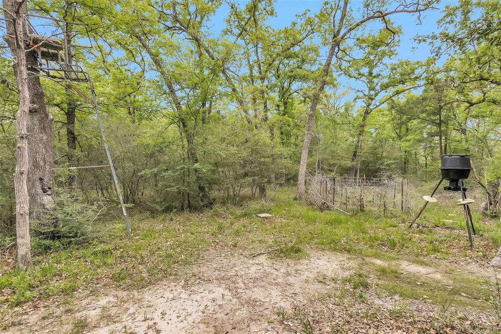 311 William Thomas Road, Huntsville, Texas image 22
