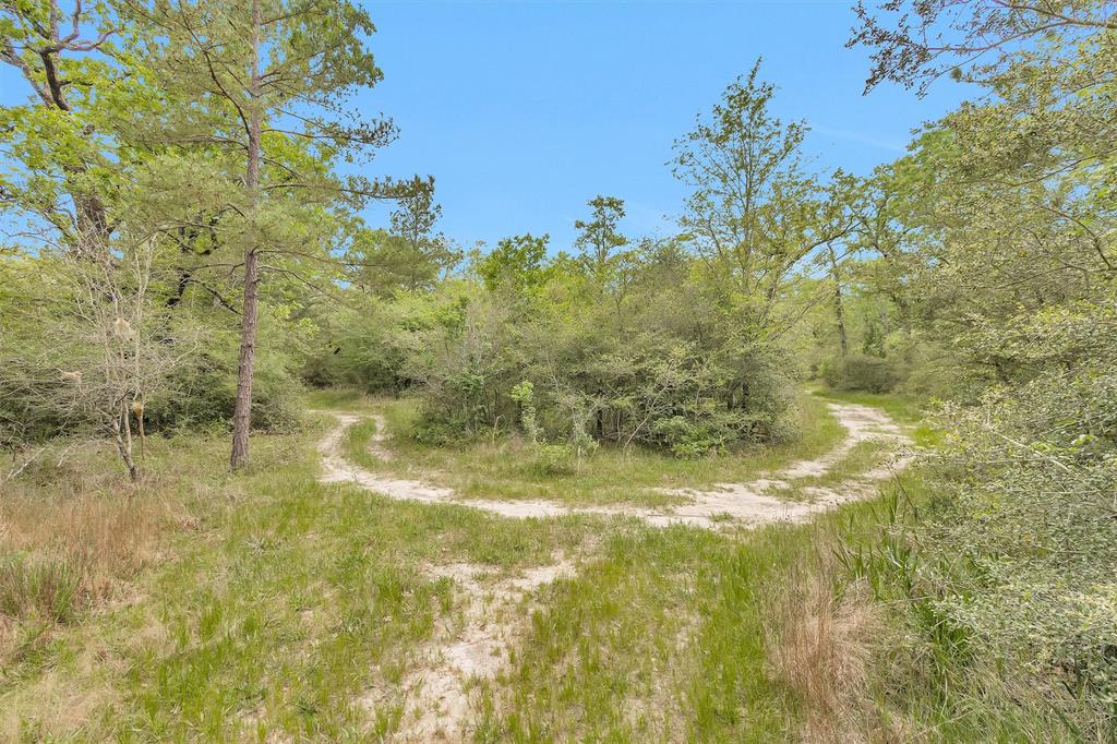 311 William Thomas Road, Huntsville, Texas image 24