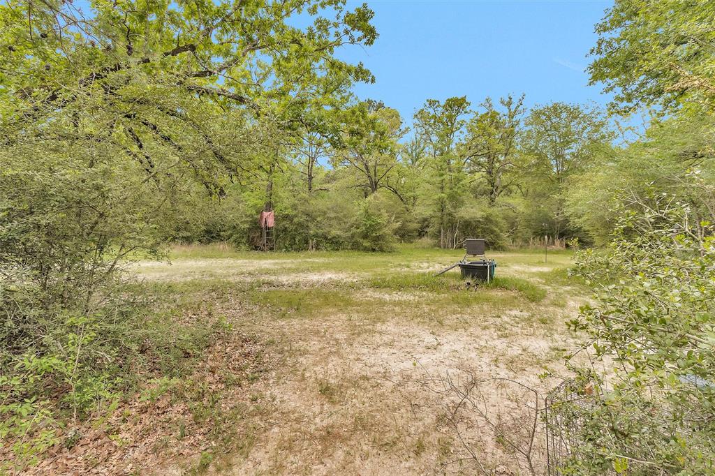 311 William Thomas Road, Huntsville, Texas image 28