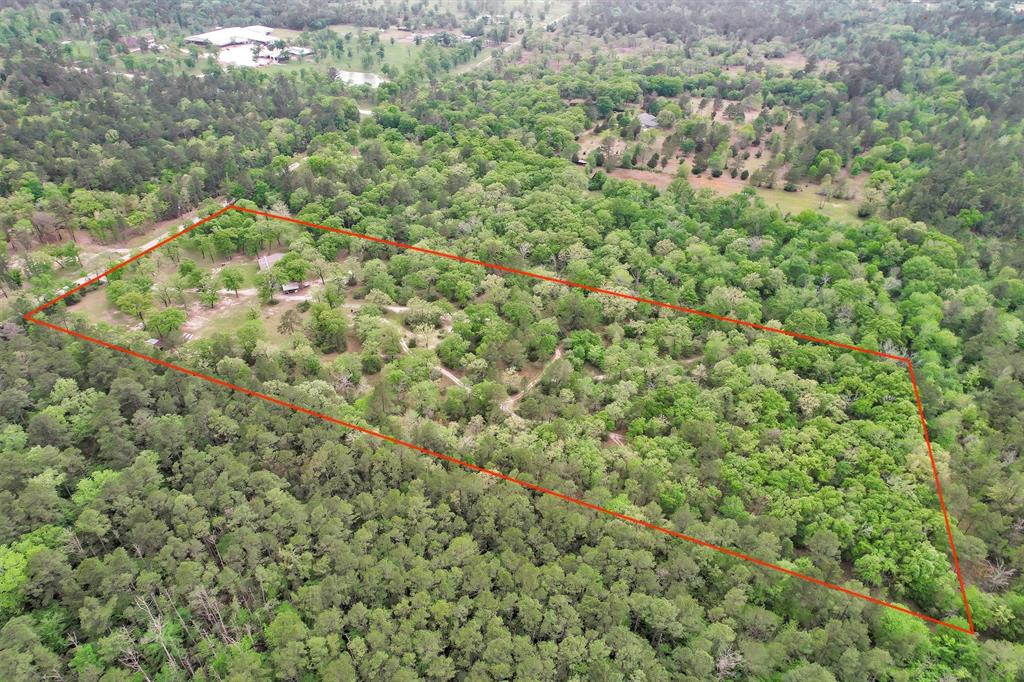 311 William Thomas Road, Huntsville, Texas image 35