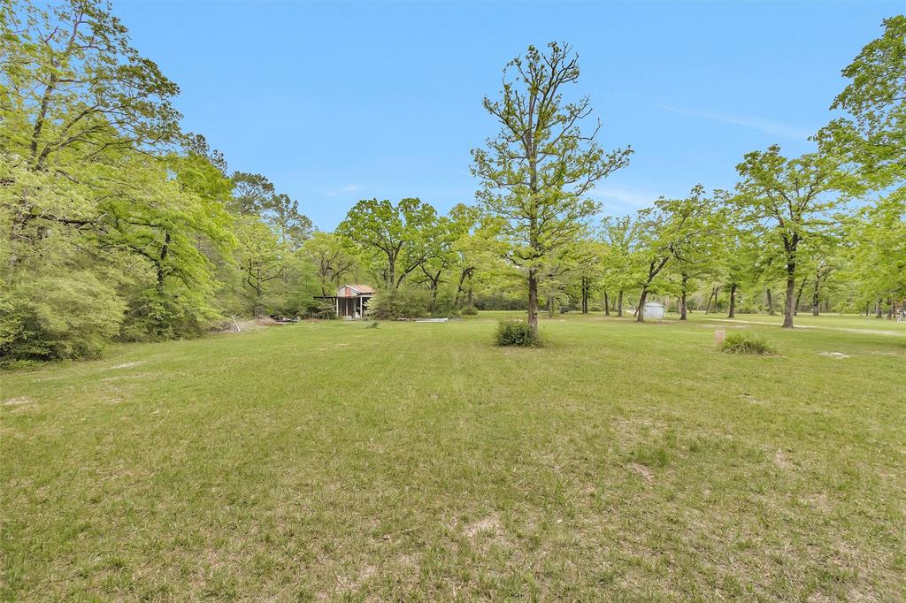 311 William Thomas Road, Huntsville, Texas image 25