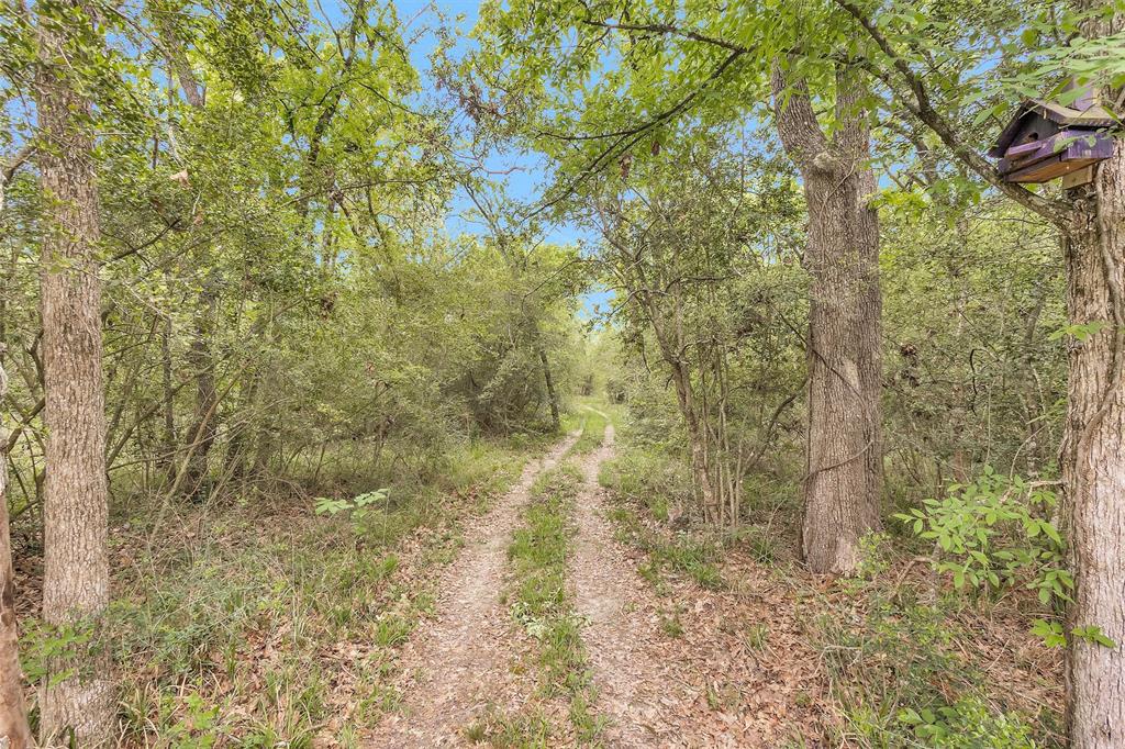311 William Thomas Road, Huntsville, Texas image 26