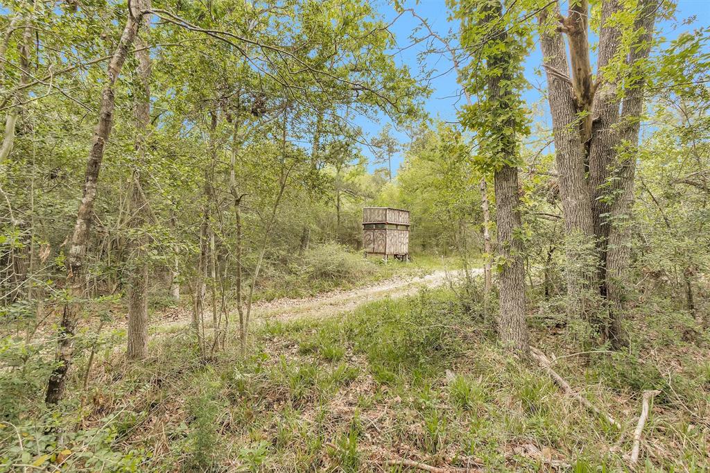 311 William Thomas Road, Huntsville, Texas image 27