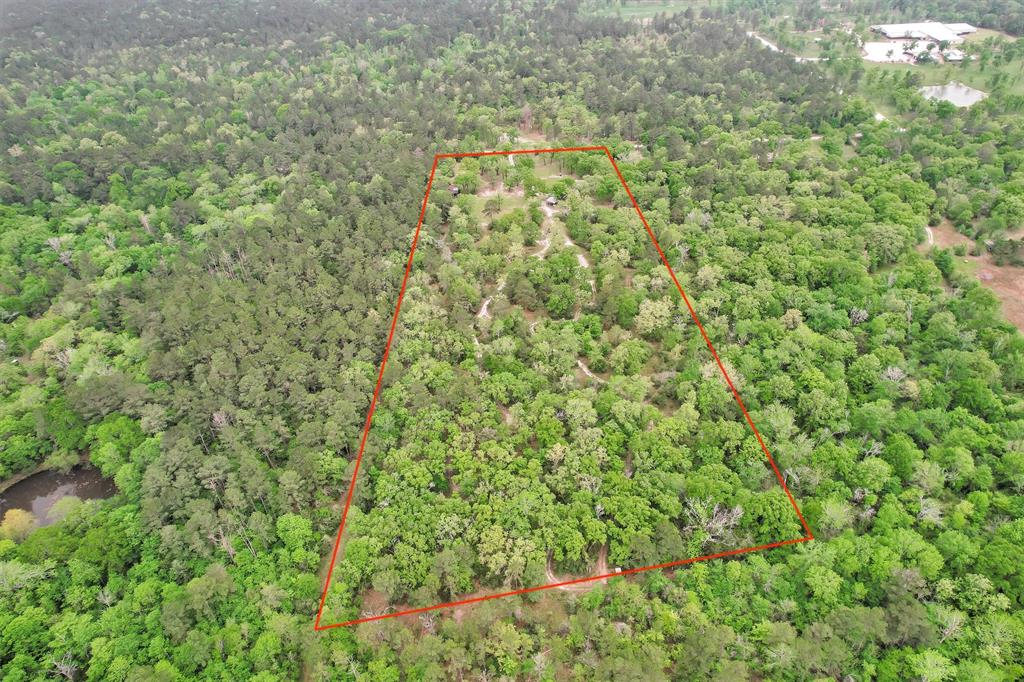 311 William Thomas Road, Huntsville, Texas image 33