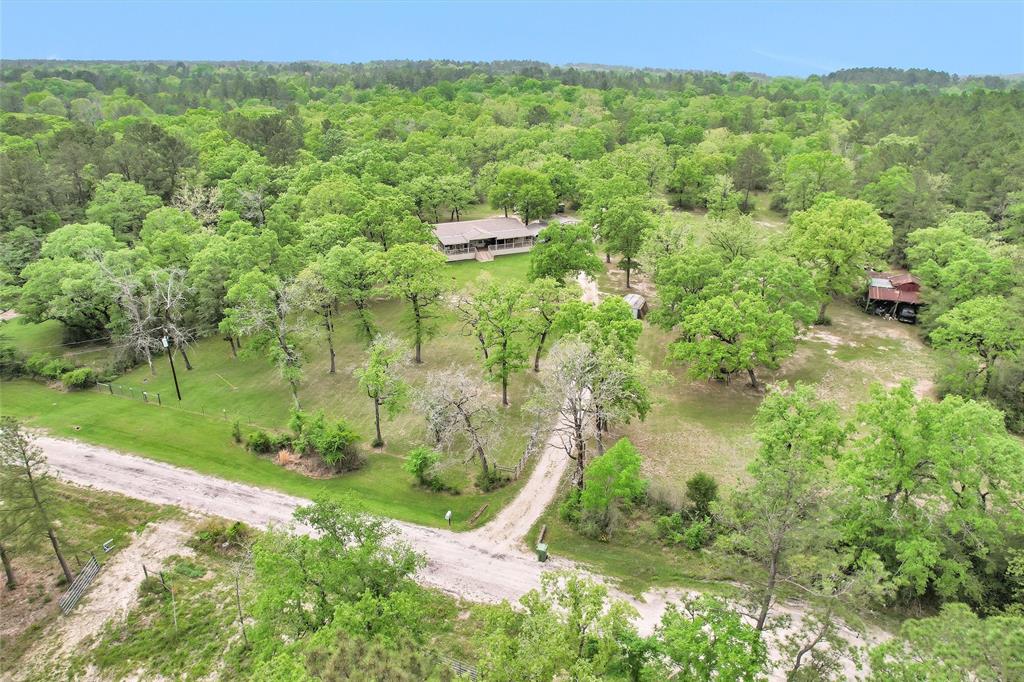 311 William Thomas Road, Huntsville, Texas image 32