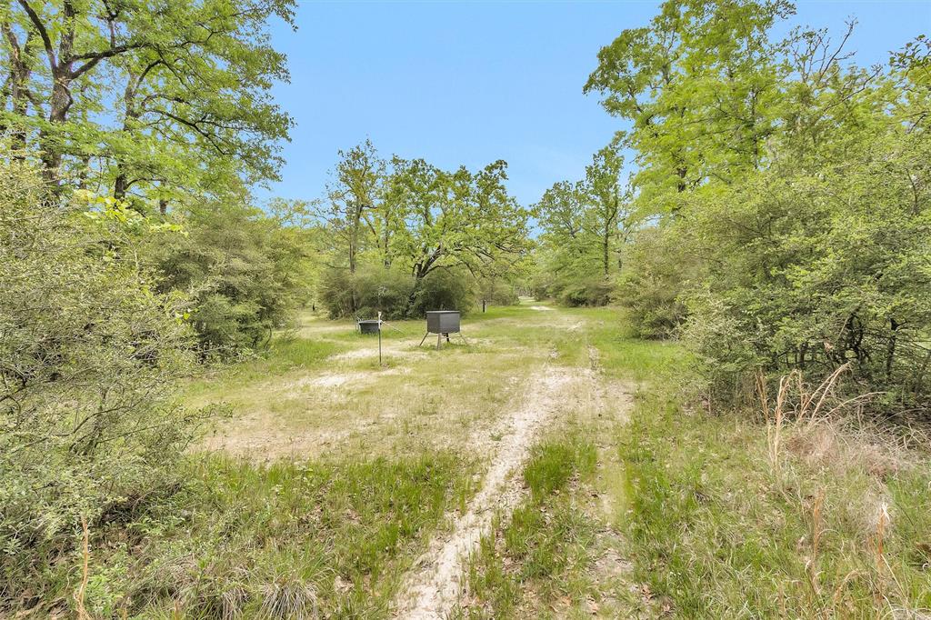 311 William Thomas Road, Huntsville, Texas image 29
