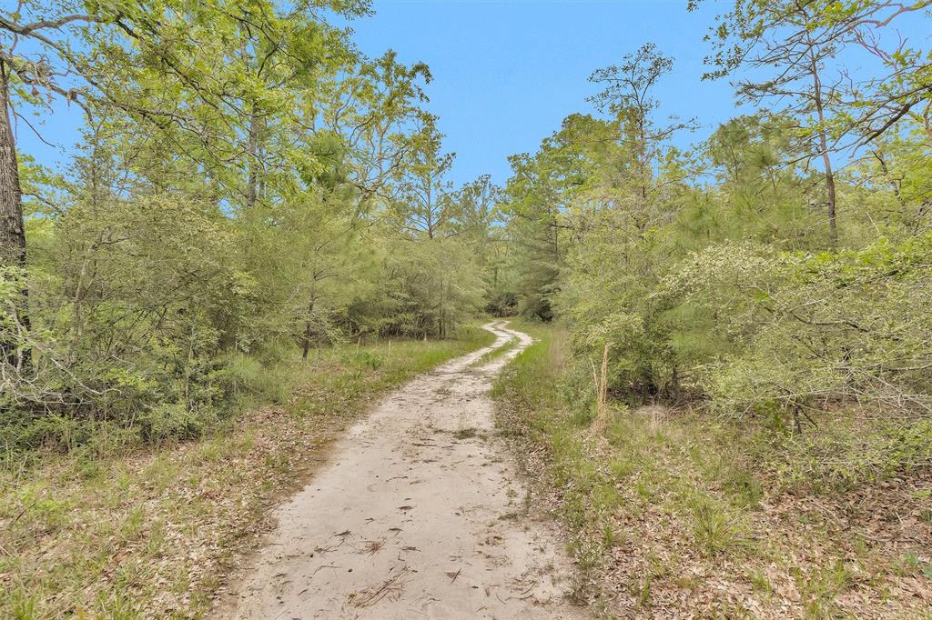 311 William Thomas Road, Huntsville, Texas image 23