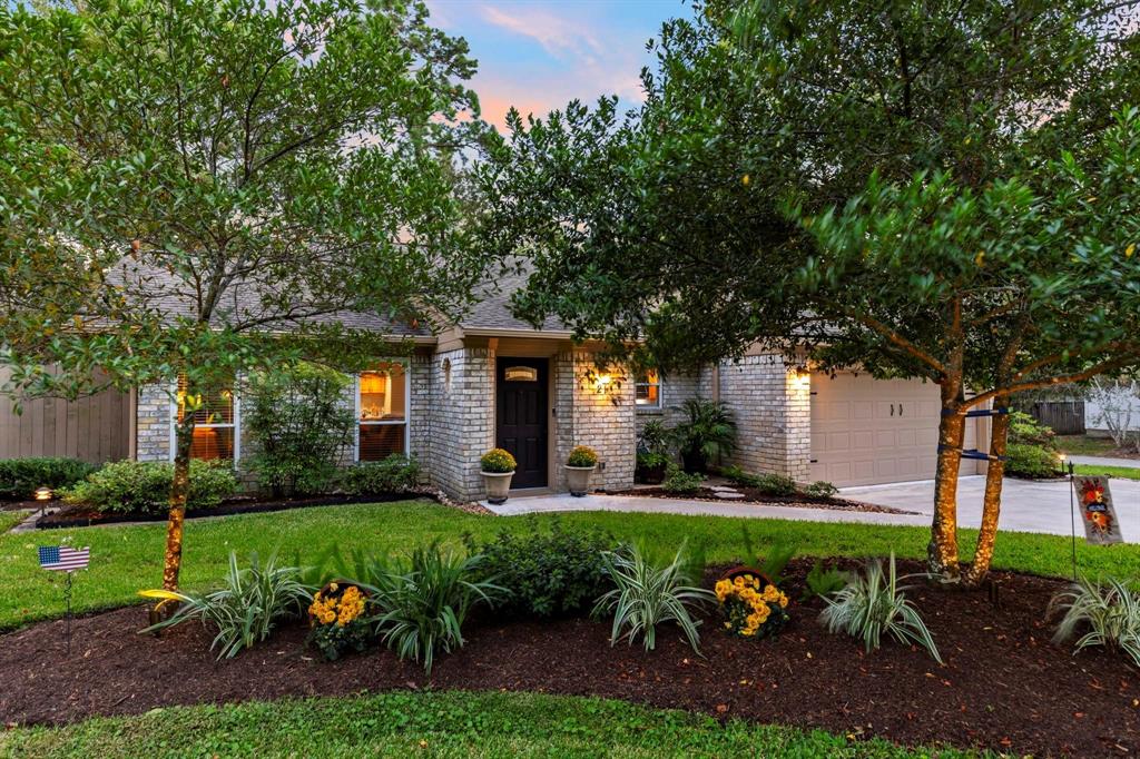 21 Riverbank Drive, The Woodlands, Texas image 1