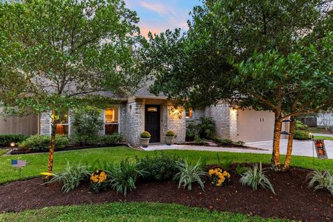 21 Riverbank Drive The Woodlands TX 77381