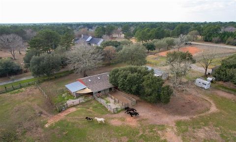 listing image 46
