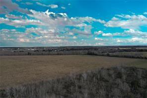 TBD Boswick, Liverpool, Texas image 3