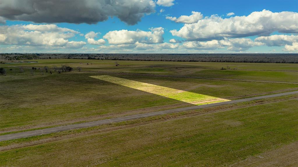 Sandy Trail, Angleton, Texas image 15