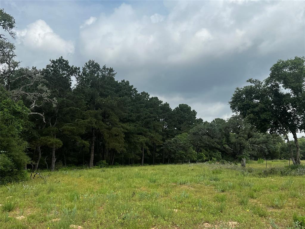 216 1st Avenue, Texas City, Texas image 8