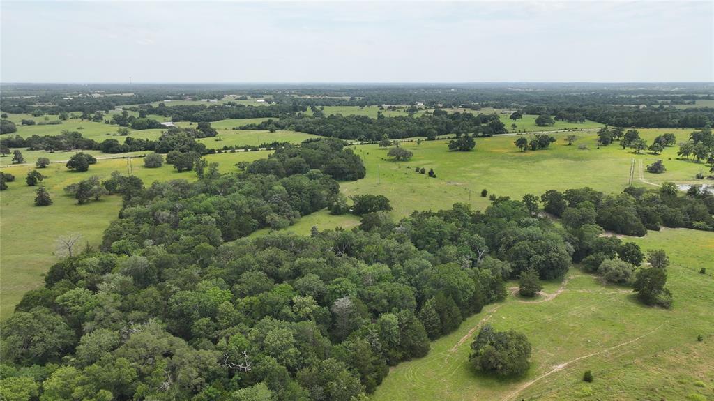 7000 Greenvine Road, Brenham, Texas image 12