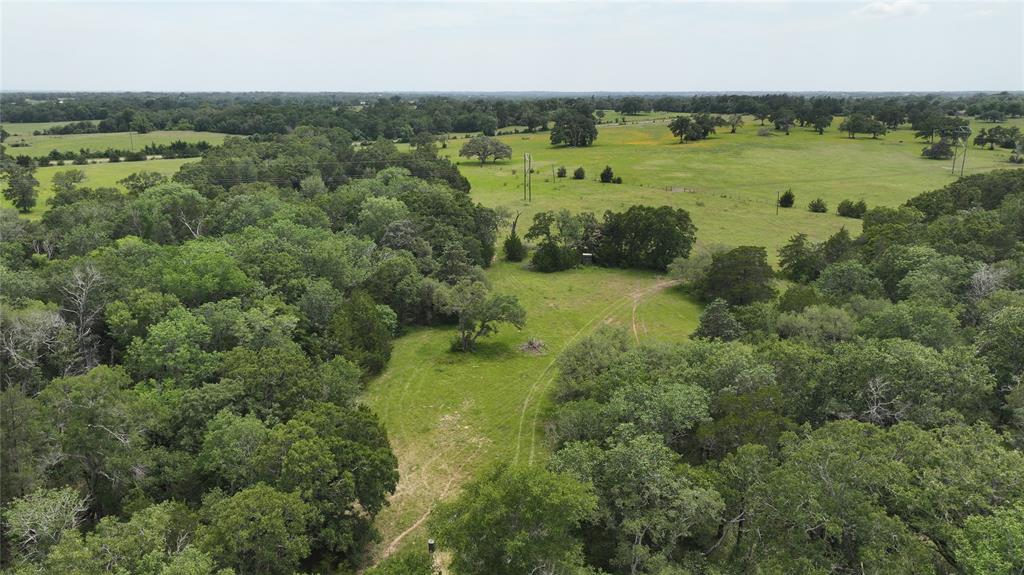 7000 Greenvine Road, Brenham, Texas image 10