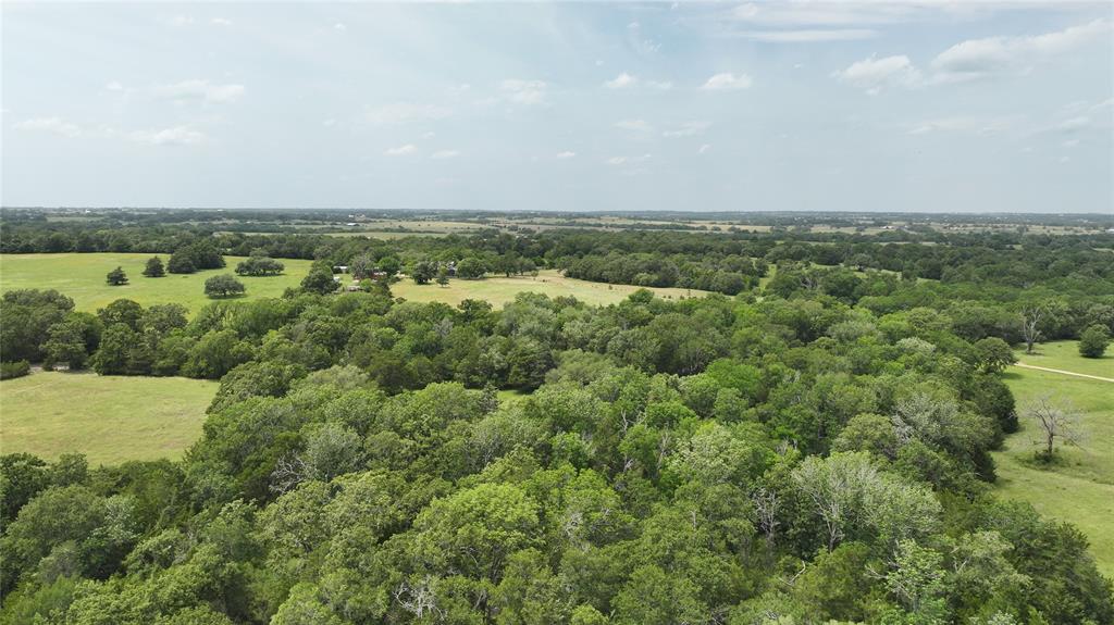 7000 Greenvine Road, Brenham, Texas image 7