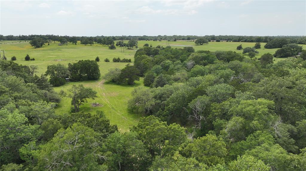 7000 Greenvine Road, Brenham, Texas image 11