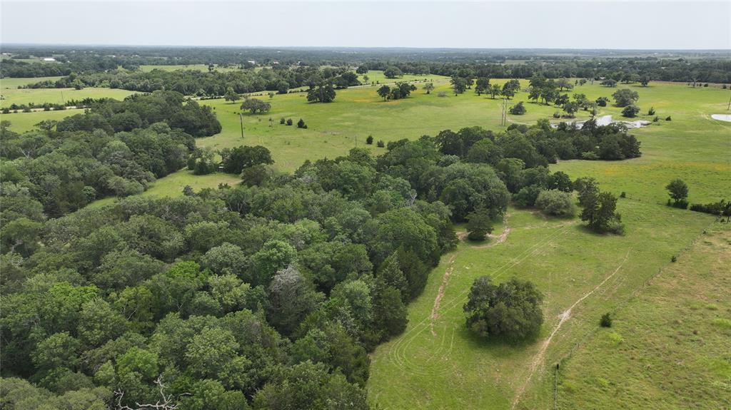 7000 Greenvine Road, Brenham, Texas image 8