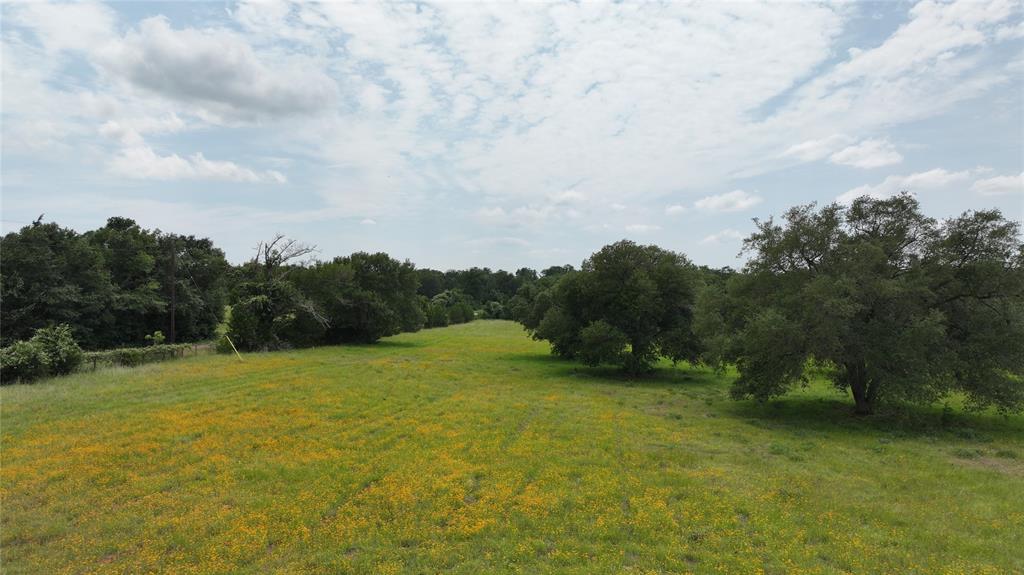 7000 Greenvine Road, Brenham, Texas image 6