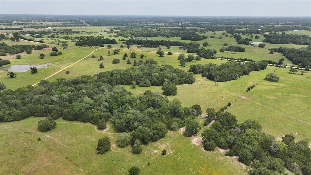 7000 Greenvine Road, Brenham, Texas image 9