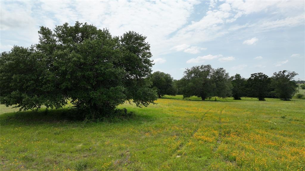 7000 Greenvine Road, Brenham, Texas image 2