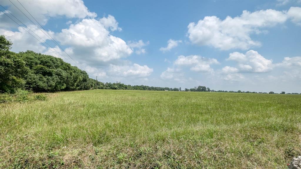 TBD Fm 1488 - South End Tract 3, Hempstead, Texas image 7