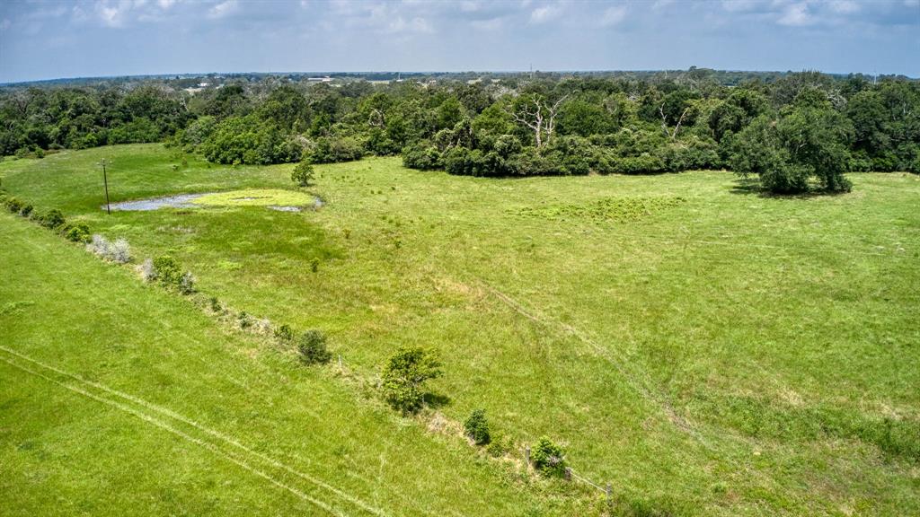 TBD Fm 1488 - South End Tract 3, Hempstead, Texas image 6