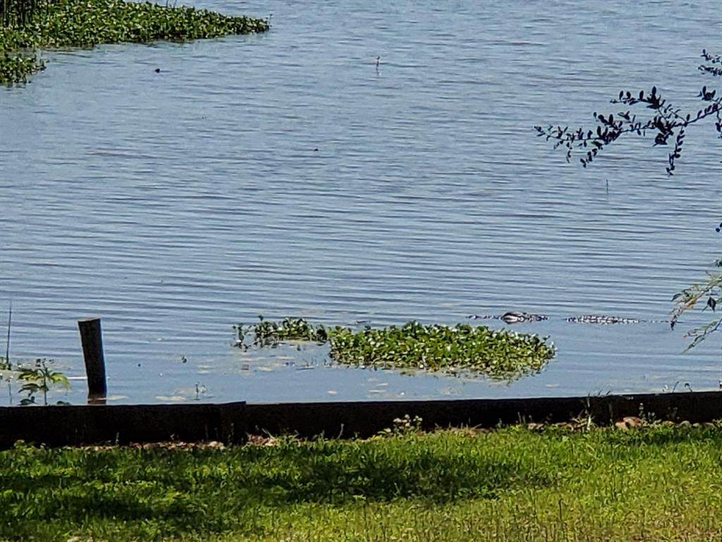 1013 Quail Lane, Eagle Lake, Texas image 32