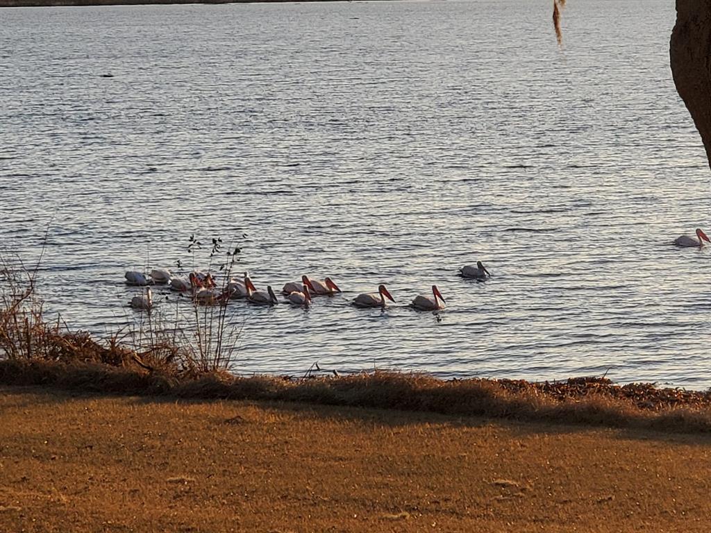 1013 Quail Lane, Eagle Lake, Texas image 34