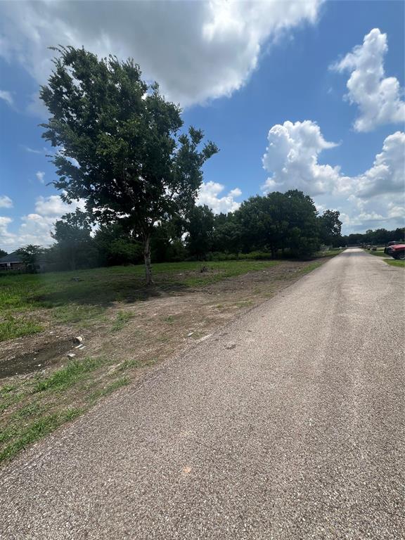 Manor Avenue, Rosharon, Texas image 7