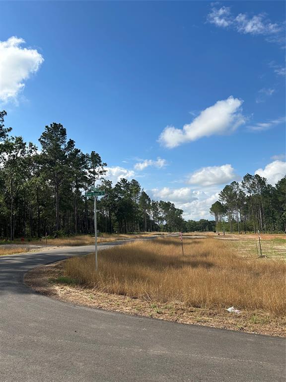 11309 Annie Creek Drive Dr, Willis, Texas image 4