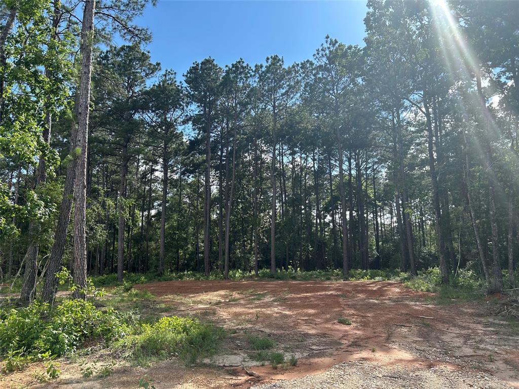 11309 Annie Creek Drive Dr, Willis, Texas image 2