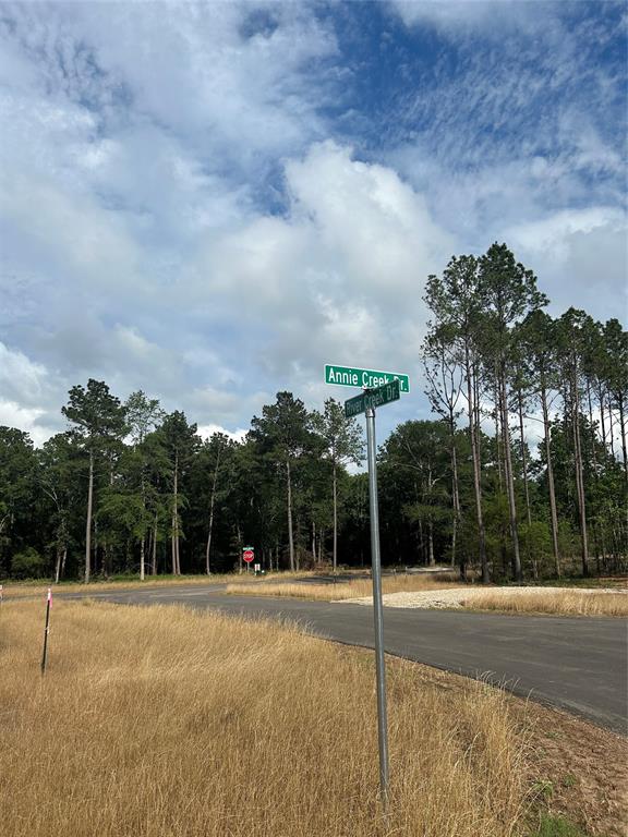 11309 Annie Creek Drive Dr, Willis, Texas image 3