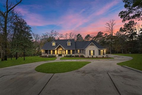 1406 Amber Cove Willis TX 77378