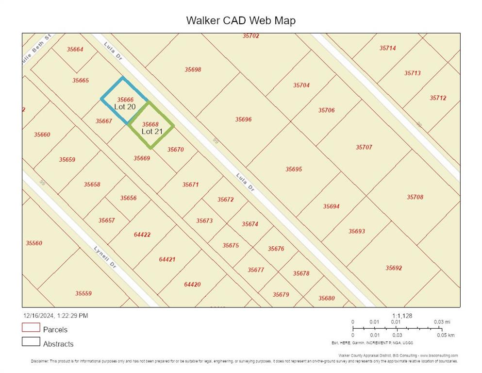 Lot 21 Lula Drive, Huntsville, Texas image 11