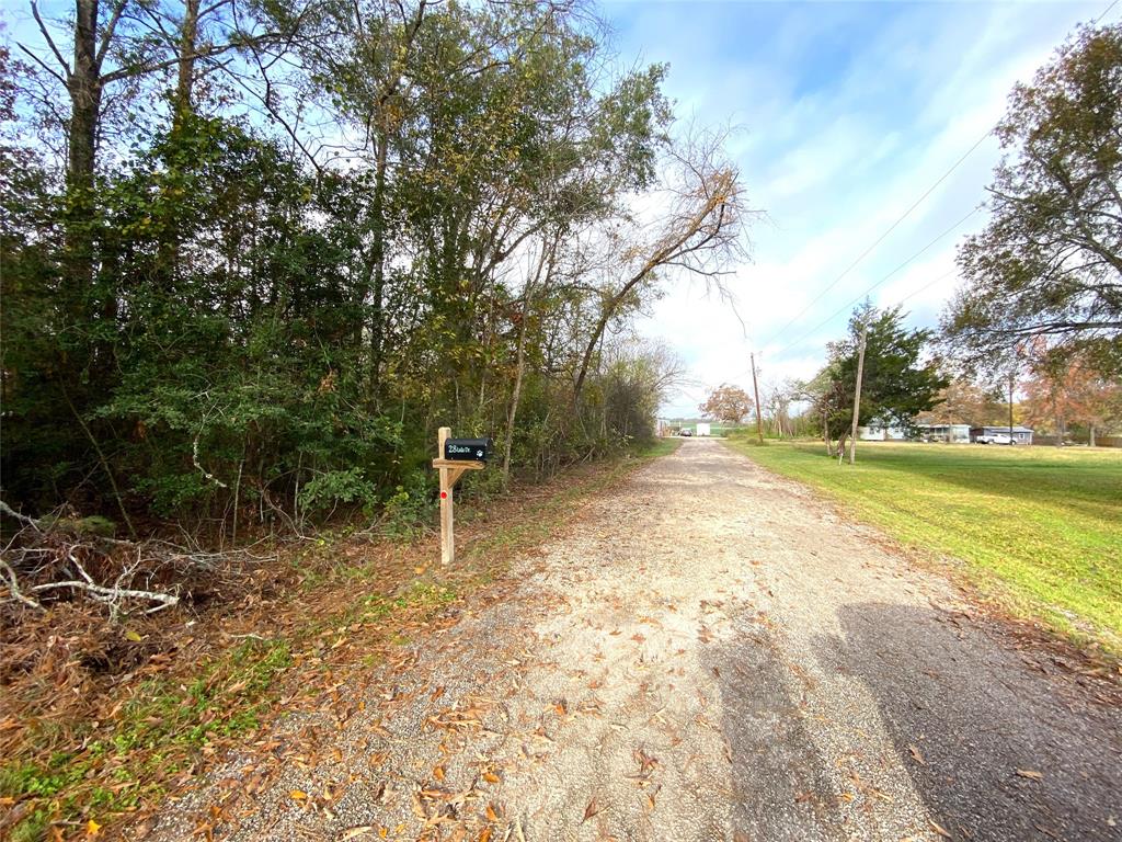Lot 21 Lula Drive, Huntsville, Texas image 3