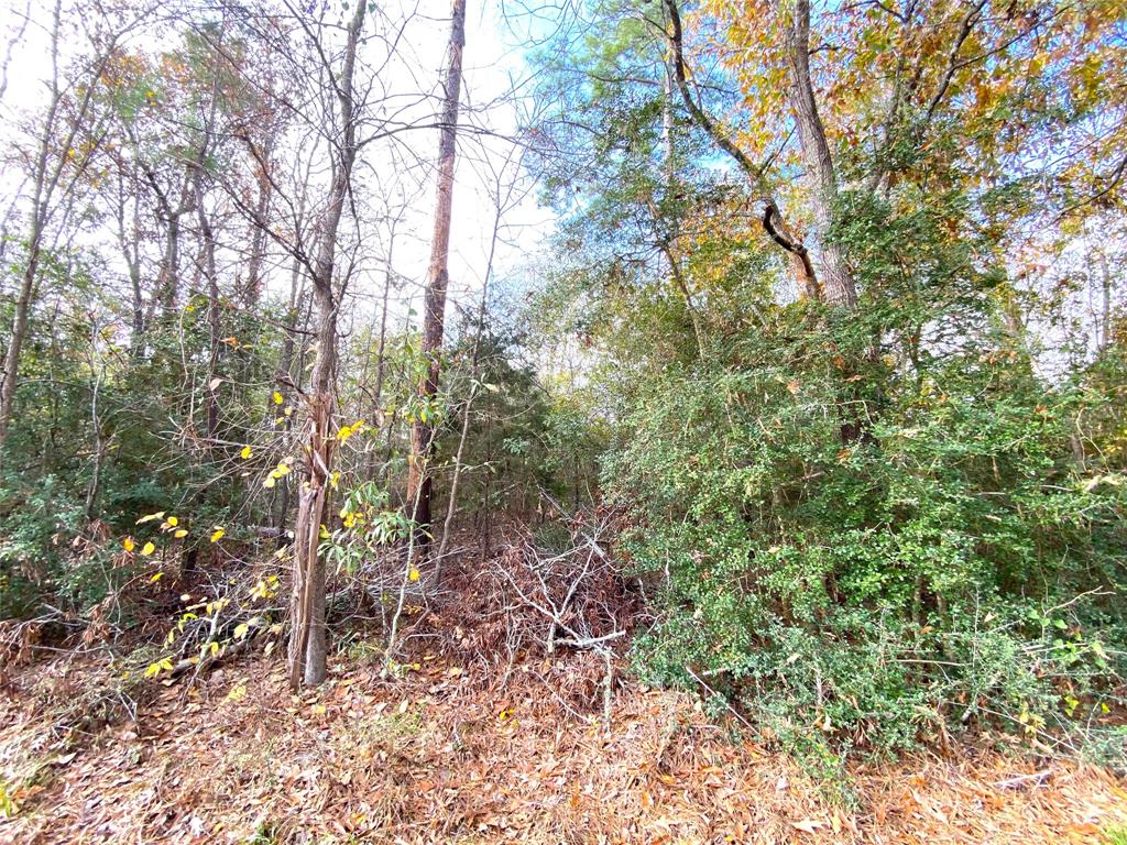 Lot 21 Lula Drive, Huntsville, Texas image 6