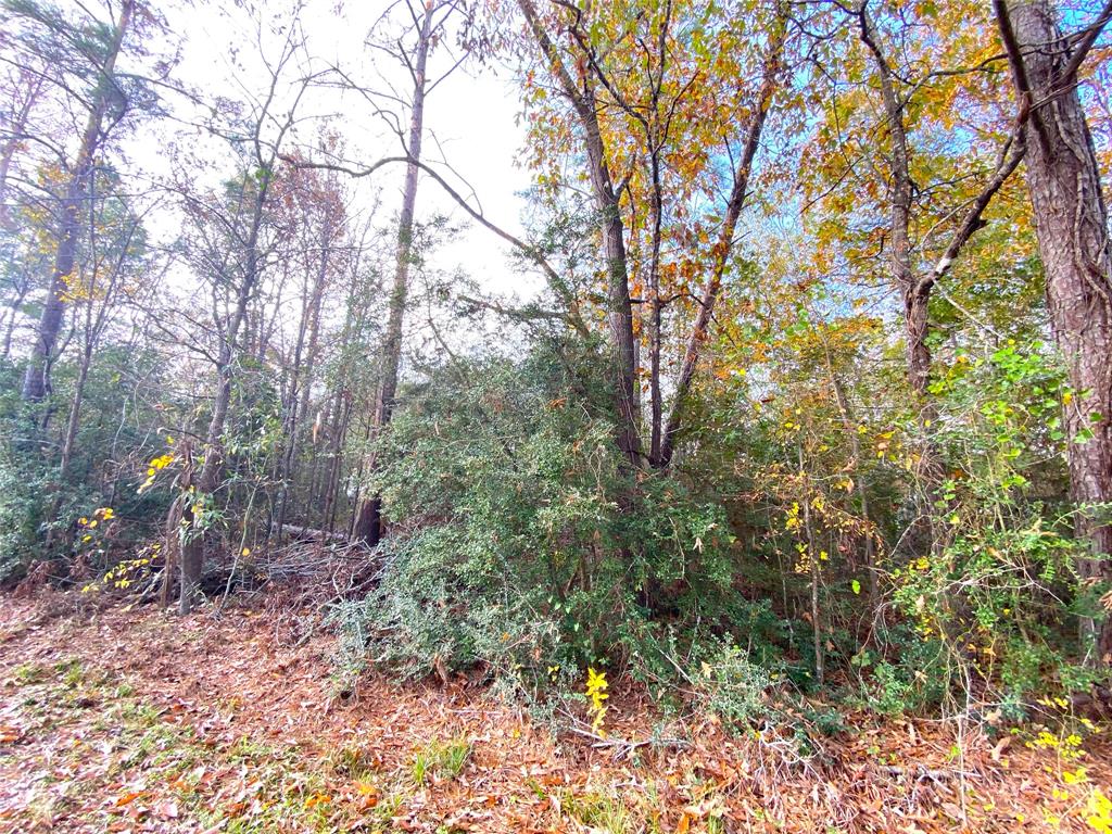 Lot 21 Lula Drive, Huntsville, Texas image 7