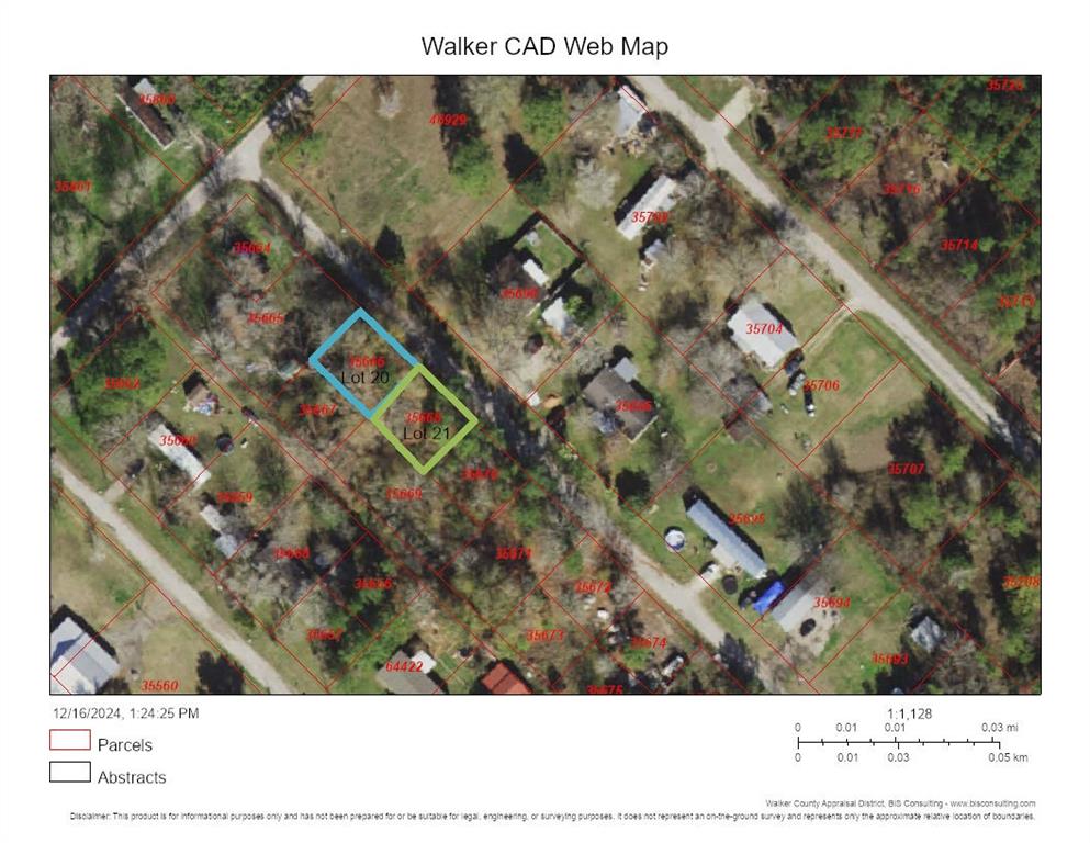 Lot 21 Lula Drive, Huntsville, Texas image 1