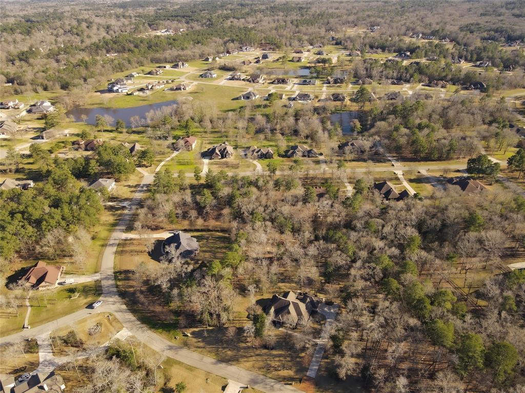 Calvary Road, Willis, Texas image 6