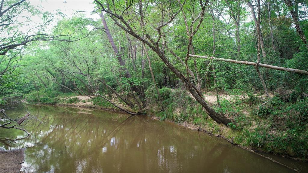 TBD Scott Gardner Road, New Caney, Texas image 29