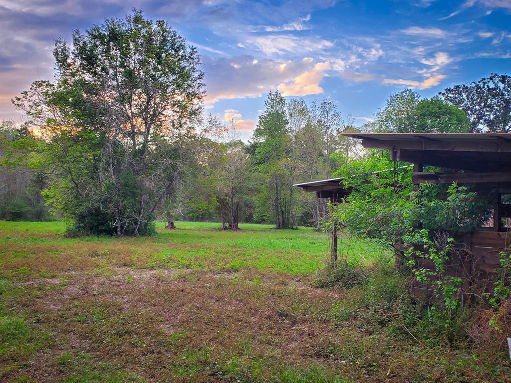 TBD Scott Gardner Road, New Caney, Texas image 6