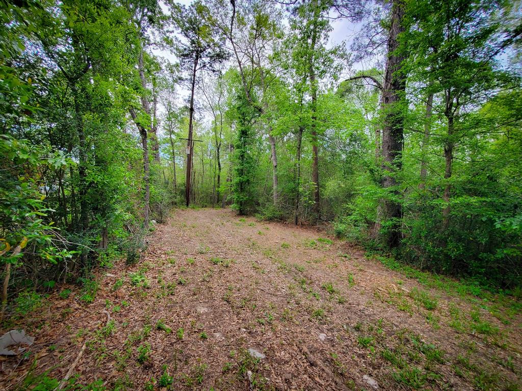 TBD Scott Gardner Road, New Caney, Texas image 7