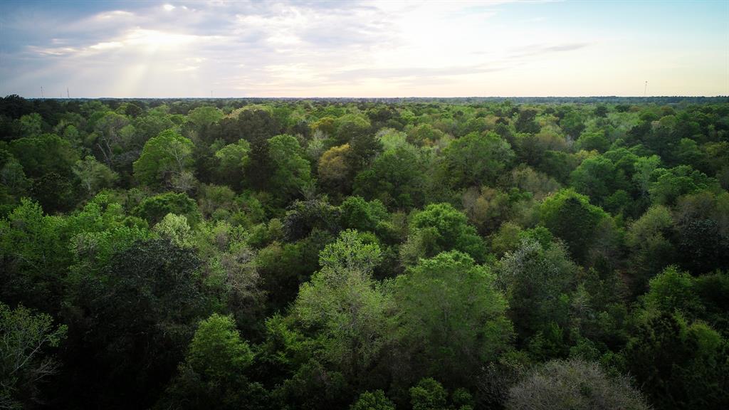 TBD Scott Gardner Road, New Caney, Texas image 18