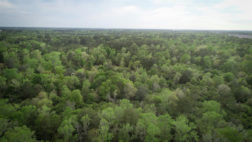 TBD Scott Gardner Road, New Caney, Texas image 16